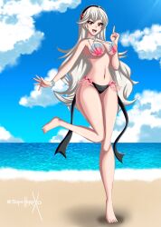 alternate_costume bikini breasts corrin_(fire_emblem) corrin_(fire_emblem)_(female) corrin_(summer)_(fire_emblem)_(female) female female_only fire_emblem fire_emblem_cipher fire_emblem_fates nintendo official_alternate_costume open_mouth shell_bikini solo sonicheroxd swimsuit