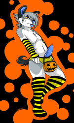 00s 1boy 2000s 2008 arm_warmers black blue blue_penis furry halloween klee_kai knot leg_warmers male male_only muzz muzz_(character) orange penis presenting pumkin solo tongue