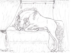 1boy bed bedchamber equine erection feral hooves horse horsecock male male_only penis solo theshadowcheetah waiting