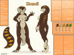 2009 big_breasts breasts cobra female model_sheet shandi snake solo spotty_the_cheetah tail