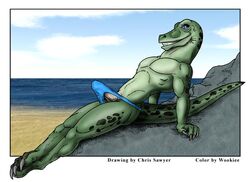 1boy anthro beach bulge chris_sawyer erection looking_at_viewer male male_only penis reptile scalie seaside solo tail thong wooky