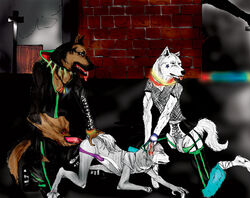 Ginga (Series) Rule 34 Image