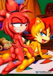 Sonic (Series) Rule 34 Image