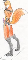 1boy anthro canine fox fur furry hi_res knot male male_only nude penis raised_tail solo tail wred wred_character