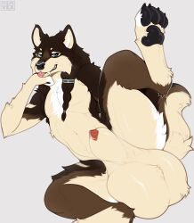 2026 absurd_res animal_genitalia animal_penis ankle_tuft anthro arm_tuft athoswolf1337 ball_tuft balls bedroom_eyes big_balls blep blue_eyes braided_hair brown_body brown_fur brown_hair canid canine canine_genitalia canine_penis canis chest_tuft claws clenched_teeth crotch_tuft elbow_tuft fangs foot_tuft fur genitals glistening glistening_balls glistening_body glistening_genitalia glistening_hair glistening_nose glistening_pawpads glistening_tongue grin hair hand_under_chin hi_res huge_balls hyper hyper_balls hyper_genitalia leg_tuft looking_at_viewer lying male mammal narrowed_eyes navel on_side one_leg_up pawpads penis penis_tip raised_leg seductive sheath shoulder_tuft simple_background smile smirk smug solo tail tan_body tan_fur teeth thigh_tuft toe_claws tongue tongue_out tuft vulpevex white_body white_fur wolf