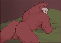 anthro ass backsack balls bara barazoku beast black_nose burrserk chest_tuft cum cum_in_ass furry gay kumatetsu looking_back male male_only muscles muscular on_hands_and_knees penis red_body red_fur solo solo_male the_boy_and_the_beast