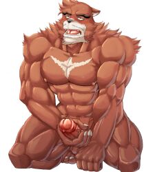 akuann anthro balls bara barazoku beast black_nose blush boner chest_tuft erection furry gay kumatetsu male male_only masturbation muscles muscular penis red_body red_fur solo solo_male the_boy_and_the_beast