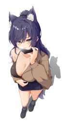 1girls animal_ears bra eyebrows_visible_through_hair face_mask female female_only green_eyes heavy_breathing indie_virtual_youtuber inviting light-skinned_female light_skin meridian_project presenting_breast ru_yan_(artist) seductive seki_(vtuber) solo tail undressing virtual_youtuber wolf_ears wolf_girl wolf_tail