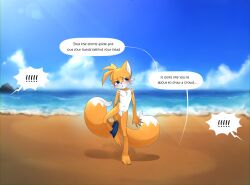 1boy 2_tails anthro beach bedroom_eyes blush canid canine cheek_tuft clothing embarrassed english_text exhibitionism facial_tuft femboy flaccid fluffy_chest foreskin fox genitals gibudibu girly hands_behind_back hi_res male male/male male_only mammal multi_tail narrowed_eyes nervous offscreen_character penis pubes public public_nudity seductive sega small_penis solo sonic_(series) sonic_the_hedgehog_(series) submissive submissive_male swimming_trunks swimsuit swimwear tails text tuft undressing