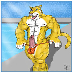 1boy aaron_(artist) anthro balls big_balls claws drool ear_piercing earring erection eyebrow_piercing fangs feline fur furry looking_at_viewer male male_only muscles nose_piercing penis penis_piercing piercing pool pop_out presenting red_eyes saliva skimpy solo standing swimsuit tail tiger tongue tongue_piercing undressing