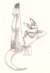 female kangaroo legs_up marsupial mehndix nude pencils solo vulva