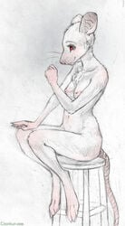 anthro breasts chest_tuft coonkun evena_mouse female fur furry jeff_melton mouse navel nude rat rodent sitting small_breasts solo stool white_fur