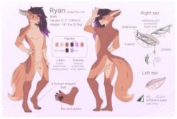 5_fingers 5_toes anthro ass backsack balls ballsack canid canine canis digital_media_(artwork) dingo english_text feet femboy fingers flaccid foreskin fox fur genitals hair hi_res humanoid_feet humanoid_genitalia humanoid_penis hybrid looking_at_viewer male mammal model_sheet nipples nude pawpads pecs penis plantigrade ryan_(yukkoo) simple_background smile solo standing tail text tight_foreskin toes uncircumcised yukkoo