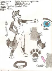 1boy anthro balls bisexual canine eimieejaxxon folf fur furry knot male male_only model_sheet penis rouxx solo wolfox