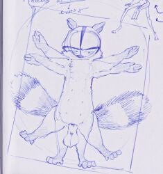 1boy anthro balls dreamworks dreamworks_animation male mammal over_the_hedge paramount_pictures penis procyonid raccoon ram_satinga rj_(over_the_hedge) sketch solo tail