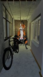 anthro anthro_only canid canine folf fox fur furry furry_only male male_only motofox_(big_red_folf) orange_fur rexouium tagme vr_media wolf