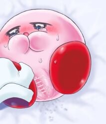 kirby kirby_(series) meta_knight nintendo pussy pussy_juice waddling_head
