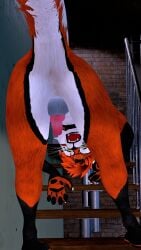 anthro anthro_only canid canine folf fox fur furry furry_only male male_only motofox_(big_red_folf) orange_fur rexouium tagme vr_media wolf