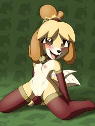 animal_crossing anthro bell bell_collar blush blush_lines breasts canid canine canis clothing collar digital_media_(artwork) domestic_dog female fingerless_gloves fur fureezy genitals gloves hair handwear hi_res isabelle_(animal_crossing) kneeling leaning leaning_back legwear lingerie looking_at_viewer mammal mostly_nude nintendo nipples nude open_mouth pussy shih_tzu small_breasts smile solo stockings tail_motion tailwag toy_dog underbelly video_games yellow_body yellow_fur