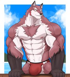 abs anatake anthro biceps big_muscles bulge canid canine canis chest_tuft clothing countershade_torso countershading detailed_bulge fur hi_res huge_muscles male male_only mammal muscular muscular_anthro muscular_male nipples pecs red_body red_clothing red_fur red_thong red_underwear sky solo thong tuft underwear veiny_muscles wolf