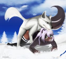 absurd_res all_fours anthro breath canid canine canis clothing feral from_behind_position girly hair hi_res hoodie legwear mae_peppermint male mammal mephitid mounting ponytail questionable_consent sex skunk snow thigh_highs topwear unknown_artist white_hair wolf