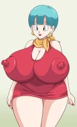 bulma briefs from dragon ball by toshiso