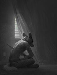 2025 anthro belt blood bodily_fluids bottomwear canid canine canis clothing curtains dark denim denim_bottomwear denim_clothing digital_media_(artwork) domestic_dog hi_res jeans knife lofi male mammal melee_weapon monochrome pants self-harm signature solo stab stab_wound sword tail weapon window