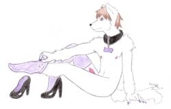 2009 anthro canid canine canis clothing collar erection footwear footwear_only graphite_(artwork) high_heels kumorigetsuei leg_warmers legwear male mammal mostly_nude sabbyth shirt shoes socks socks_only solo topwear traditional_media_(artwork) wolf