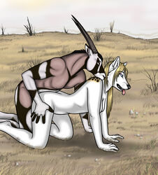 antelope anthro canine chiro_ookami female from_behind fur furry gemsbok grazing_antelope horns male nude oryx outdoors sex straight wolf