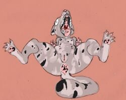 2024 black_spots claws digital_media_(artwork) digitigrade felid female feral fur genitals grey_body grey_fur hi_res lying mammal markings mixed_media multi_nipple nipples on_back open_mouth pawpads pen_(artwork) pink_pawpads pussy solo spots spotted_body spotted_fur spotted_pawpads tail tail_anus teeth tongue traditional_media_(artwork) uvula wide_eyed zambs