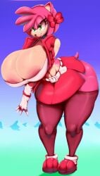 amy_rose female furry sonic_(series) vhsdaii