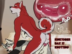 4:3 animal_genitalia anthro arctic_fox black_body black_fur black_nose blue_eyes blush bodily_fluids canid canine canine_genitalia canis closed_eyes cum cum_inside curled_tail domestic_dog duo fox fur genital_fluids genitals grey_body grey_fur hi_res husky internal kinktober kinktober_2024 knot knotting male male/male mammal multicolored_body multicolored_fur nordic_sled_dog open_mouth red_body red_fur rucho simple_background spitz tail theo_(rucho) true_fox white_body white_fur