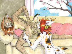 2003 Rule 34 Image