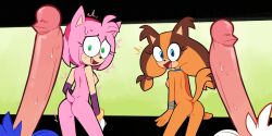 2boys 2girls alternate_version_available amy_rose amy_rose_(boom) badger blowjob colored deepthroat eyes eyes_looking_up fellatio female hedgehog humanoid_penis male miles_prower miscon naked nude nude_female sonic_(series) sonic_boom sonic_the_hedgehog sonic_the_hedgehog_(series) sticks_the_badger sticks_the_jungle_badger tails