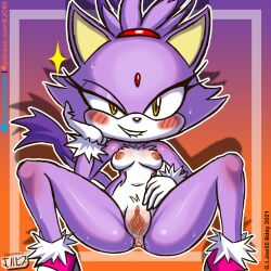 blaze the cat from sega by jackintaro