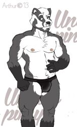 1boy 2013 anthro badger bulge chest_tuft clothed clothing ear_piercing eyebrows facial_piercing leather leather_clothing male male_only mammal muscular mustelid musteline nipples nose_piercing piercing raised_eyebrow rthur solo tuft underwear underwear_only