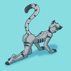 all_fours animal_humanoid anthro anus ass balls blue_eyes cat_humanoid digital_media_(artwork) domestic_cat felid felid_humanoid feline feline_humanoid felis fur fur_markings genitals grey_body grey_fur hi_res humanoid jinx_(solarlewds) looking_at_viewer male mammal mammal_humanoid markings nude presenting presenting_anus presenting_hindquarters simple_background smile solarlewds solo swaying