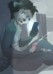 2021 abs anthro big_penis blue_eyes blush blush_lines bodily_fluids canid canine caught cellphone cheek_tuft chest_tuft cum cumshot curtains ejaculation erection eyebrows facial_tuft foreskin genital_fluids genitals grey_theme holding_cellphone holding_object holding_phone holding_smartphone humanoid_genitalia humanoid_penis kiske_7key looking_at_viewer male mammal masturbation muscular muscular_male nipples nude open_mouth penile penile_masturbation penis phone retracted_foreskin side_view sitting smartphone solo stroking_penis sweat sweatdrop tuft white_eyebrows