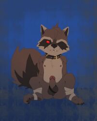 1boy animal_ears bandaged_foot bandages black_collar claws collar commentary erection furry furry_male guardians_of_the_galaxy highres looking_at_viewer male_focus marvel marvel_rivals nipples nude one_eye_closed pawpads penis raccoon_boy raccoon_ears raccoon_tail red_eyes rocket_raccoon rocket_raccoon_(marvel_rivals) sitting smile supechips symbol-only_commentary tail testicles whiskers