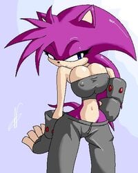 blue_eyes clothes female fingerless_gloves hedgehog midriff purple solo sonic_style speedla standing t03nemesis tight_clothes