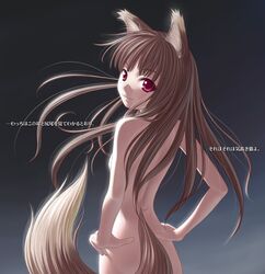 1girls animal_ears back breasts brown_hair female holo long_hair looking_over_shoulder mammal nekopuchi nude ookamimimi red_eyes soft solo spice_and_wolf standing tail translated wolfgirl