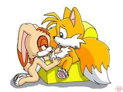 anthro balls blue_eyes bondage brown_eyes canine claws cream_the_rabbit fellatio female fox fur furry interspecies lagomorph licking long_ears male multiple_tails oral oral_sex orange_fur penis rabbit sex short_tail sitting sofa sonic_(series) straight tail tails tongue twotails