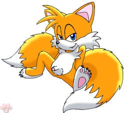 anthro balls blue_eyes canine cute_fang fox fur furry looking_at_viewer male male_only multiple_tails penis sitting solo sonic_(series) source_request tagme tail tails twotails