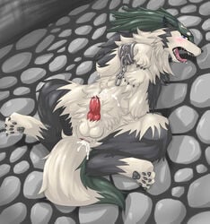 after_sex blush canine cum cum_inside drooling feral fur hindpaw izzanglan knot link male male_only saliva solo stone_(artist) the_legend_of_zelda twilight_princess wolf wolf_link