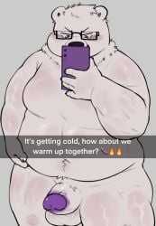 anthro bear belly fluffo_boyo hi_res kou_polaris male male/male mammal message polar_bear slightly_chubby slightly_chubby_male snapchat solo solo_focus ursine