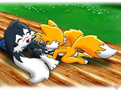 2_tails anthro balls black blowjob blush blush_lines blushing canine closed_eyes cum cute cute_expression day fellatio fluffy fox fur furry klonoa klonoa_(series) long_ears male male_only miles_tails_prower multi_tail multiple_males namco open_mouth oral oral_sex outdoors pillow sega sex sonic_(series) sonic_the_hedgehog_(series) tail twotails yaoi