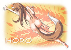 1girls all_fours animal_ears brown_hair canine female holo kouda_tomohiro long_hair looking_at_viewer mammal nude ookamimimi red_eyes soft solo spice_and_wolf tail wolf wolfgirl