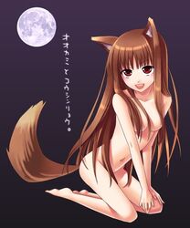 1girls animal_ears barefoot breasts brown_hair female holo kemonomimi kneeling long_hair looking_at_viewer nude ookamimimi red_eyes small_breasts solo spice_and_wolf tail translation_request unknown_artist wolf_girl