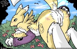 2005 anthro anus ass ass_up blush breasts canine claws digimon digitigrade female fox fur furry gloves grass green_eyes looking_at_viewer on_front pussy raised_tail renamon solo tail wide_hips yellow zidanerfox