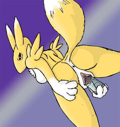 anthro ass avoidable_anatomy_mistake back canine digimon dildo female fox from_behind fur furry green_eyes looking_at_viewer looking_over_shoulder masturbation pussy renamon sex_toy solo standing tail toy unknown_artist yellow